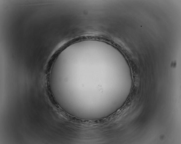 X0000103451208200809121117