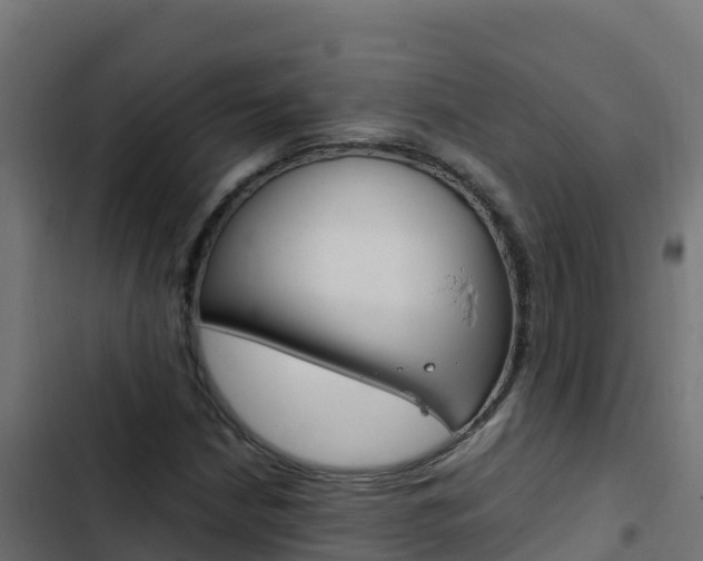 X0000103451210200809121117