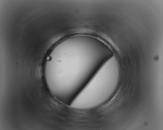 X0000103451213200809121117