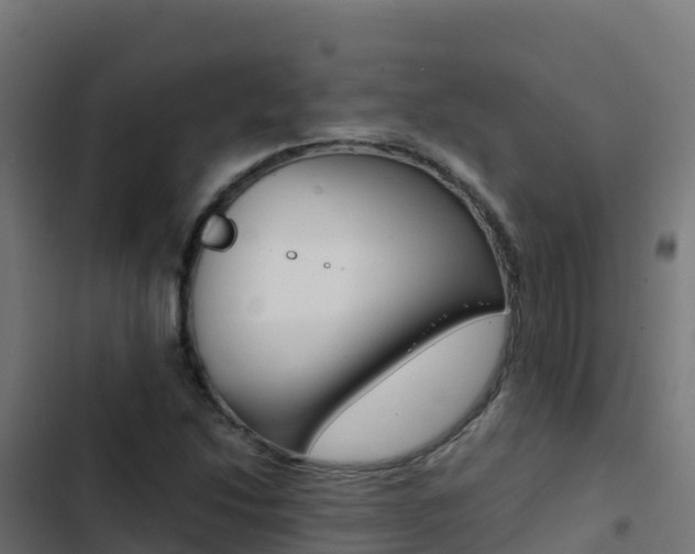 X0000103451214200809121117