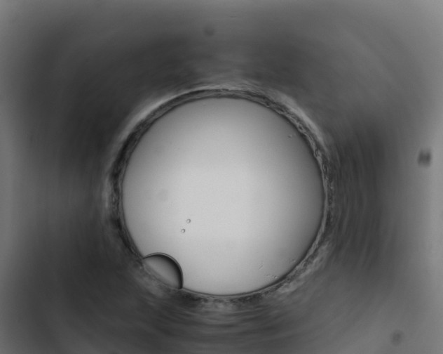 X0000103451215200809121117