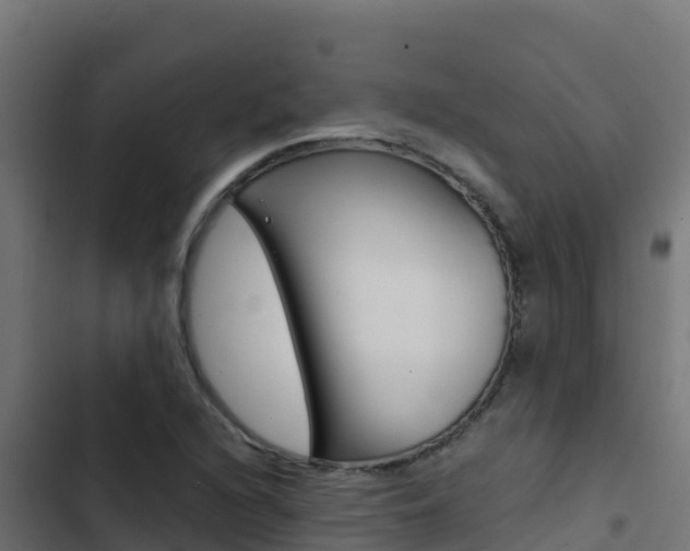 X0000103451216200809121117