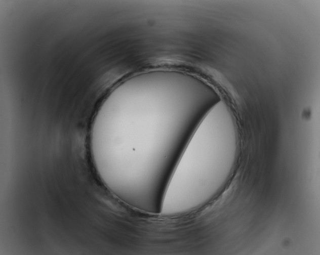 X0000103451217200809121117