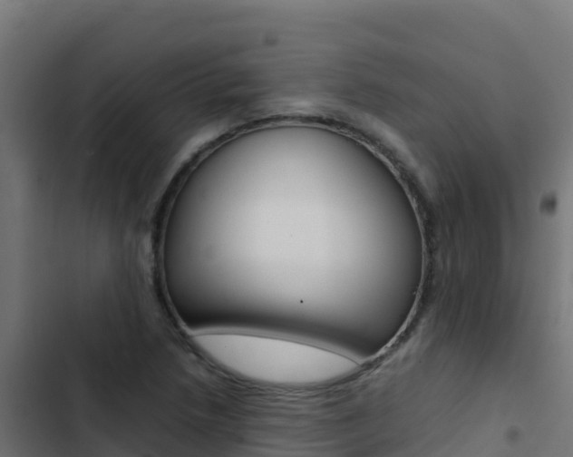 X0000103451218200809121117