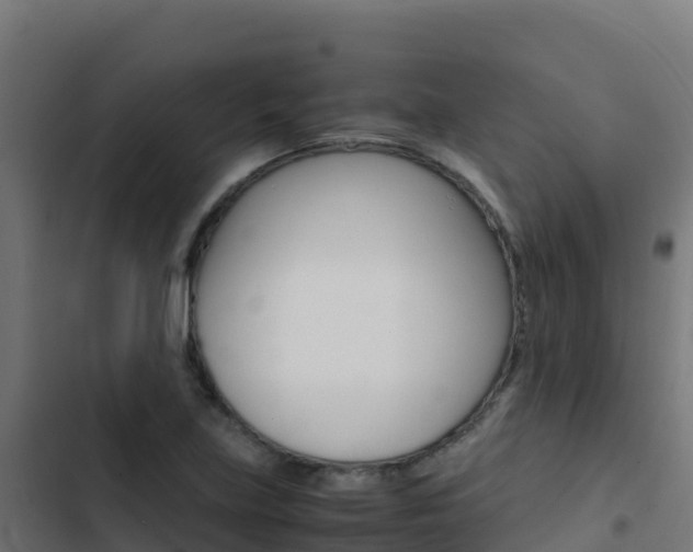 X0000103451219200809121117