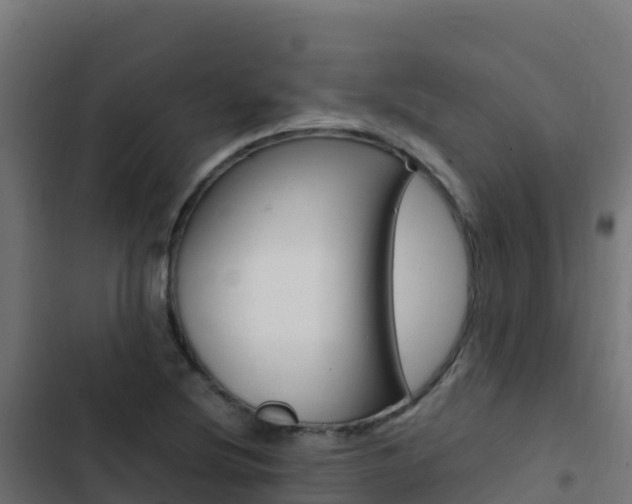 X0000103451220200809121117