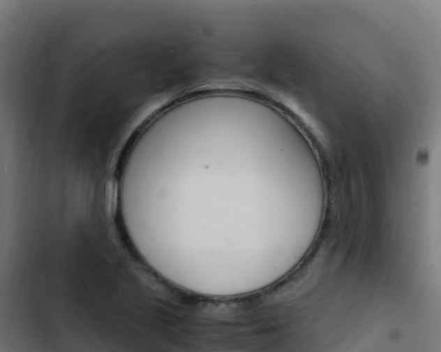 X0000103451221200809121117