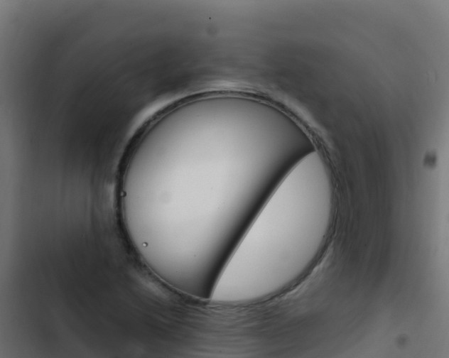 X0000103451222200809121117