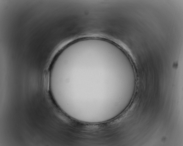 X0000103451223200809121117