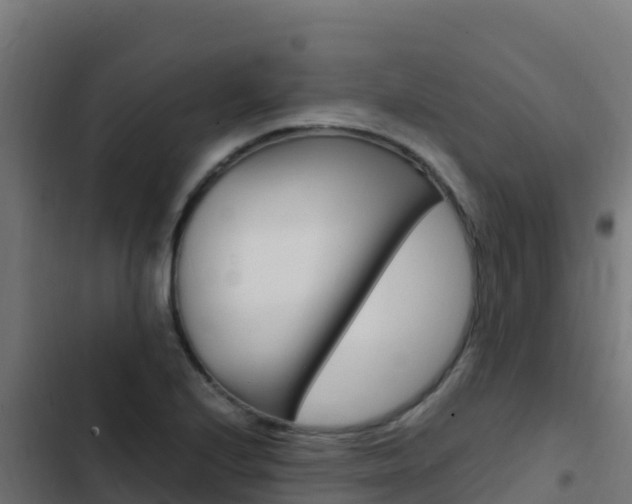 X0000103451224200809121117