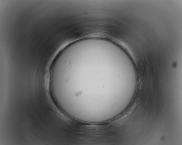 X0000103451227200809121118