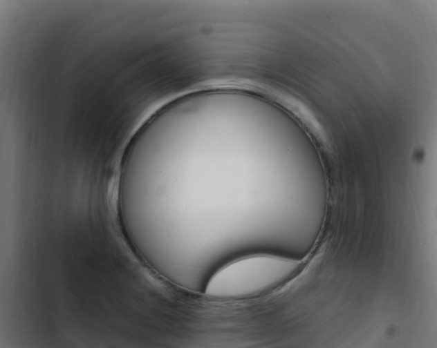 X0000103451228200809121118