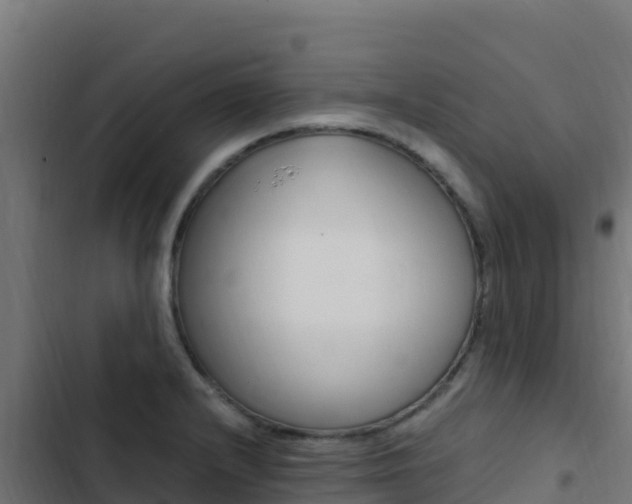 X0000103451232200809121118