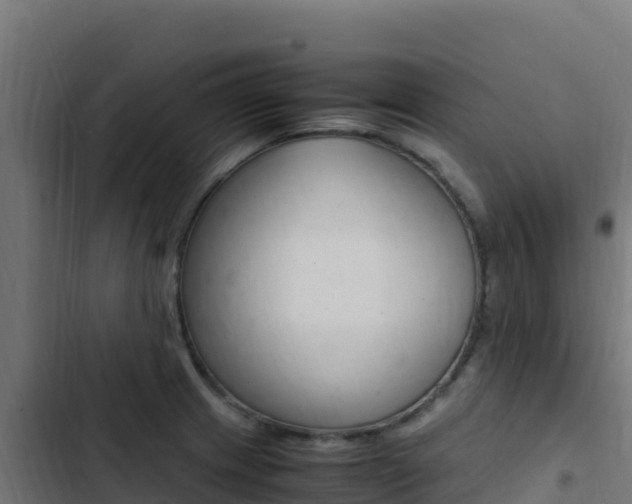 X0000103451233200809121118