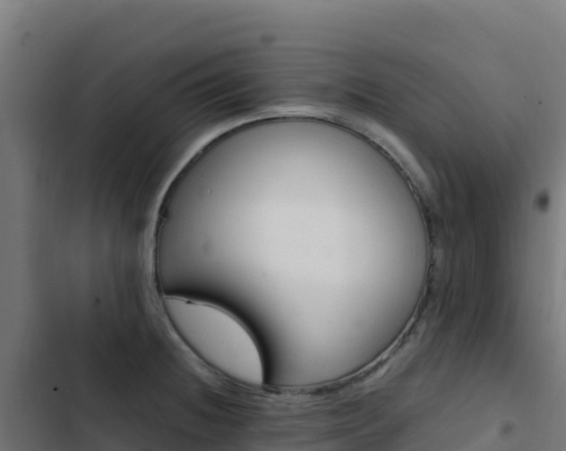X0000103451236200809121118