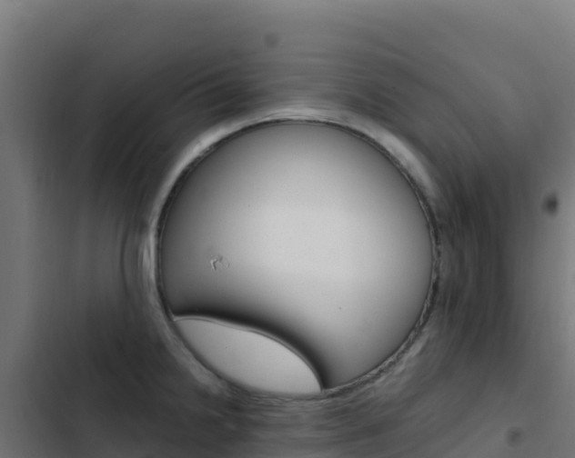 X0000103451238200809121118