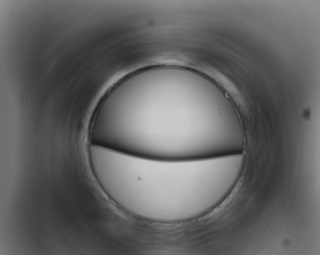 X0000103451240200809121118