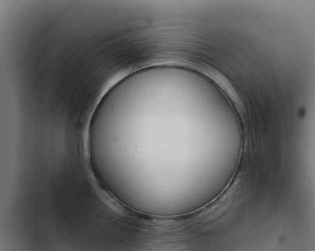 X0000103451242200809121118