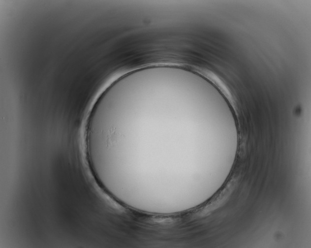 X0000103451243200809121118