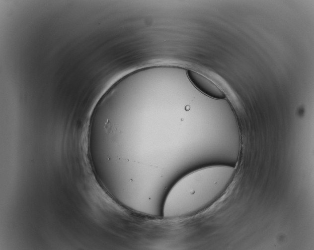 X0000103451244200809121118