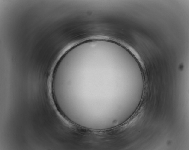 X0000103451245200809121118