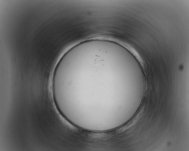 X0000103451247200809121118