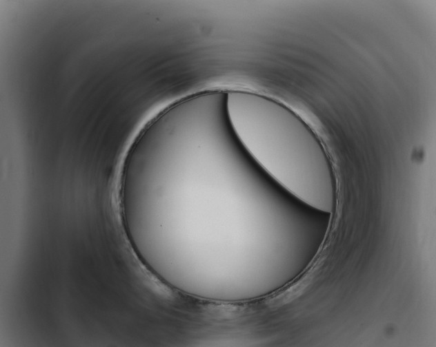 X0000103451248200809121118
