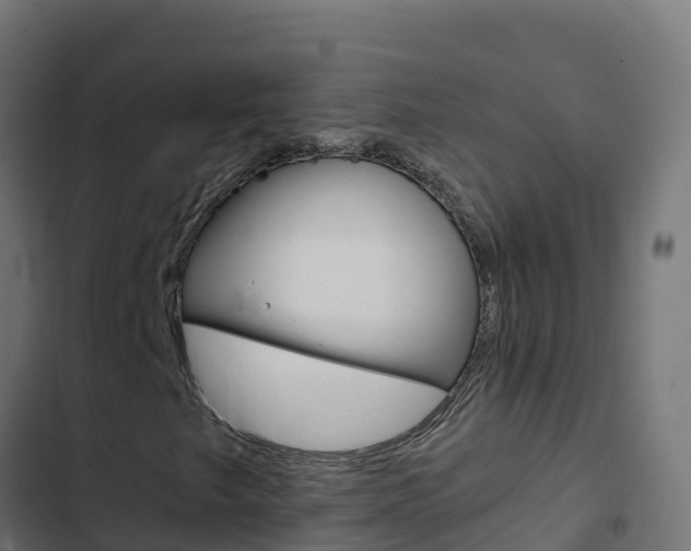 X0000103451249200809121117
