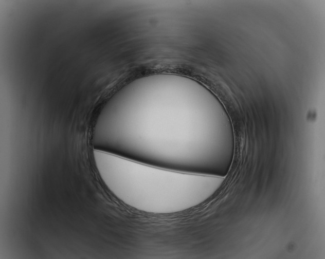 X0000103451250200809121117