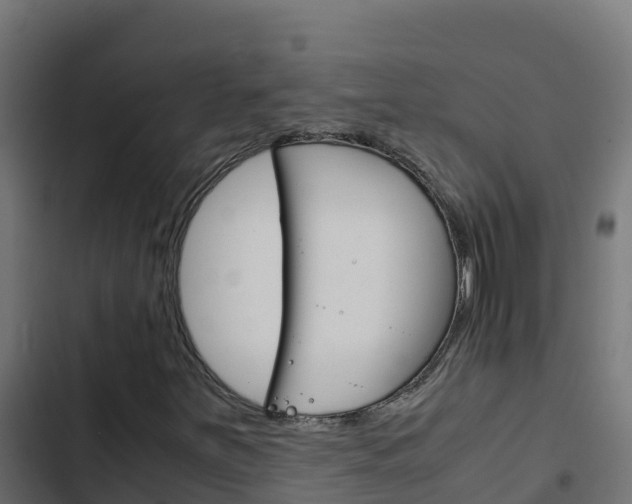 X0000103451251200809121117