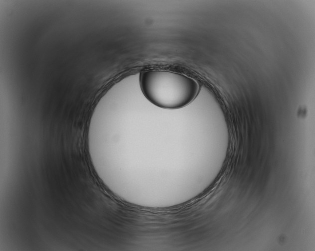 X0000103451252200809121117