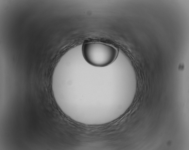 X0000103451253200809121117