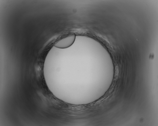 X0000103451254200809121117