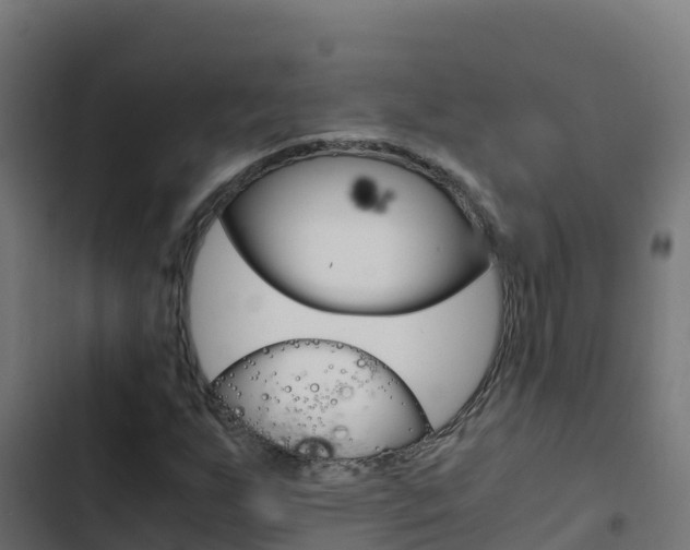 X0000103451255200809121117
