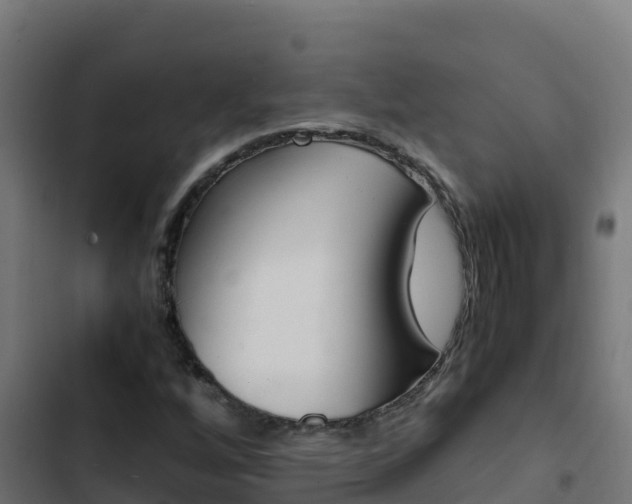X0000103451256200809121117