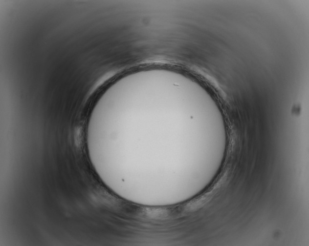 X0000103451258200809121117