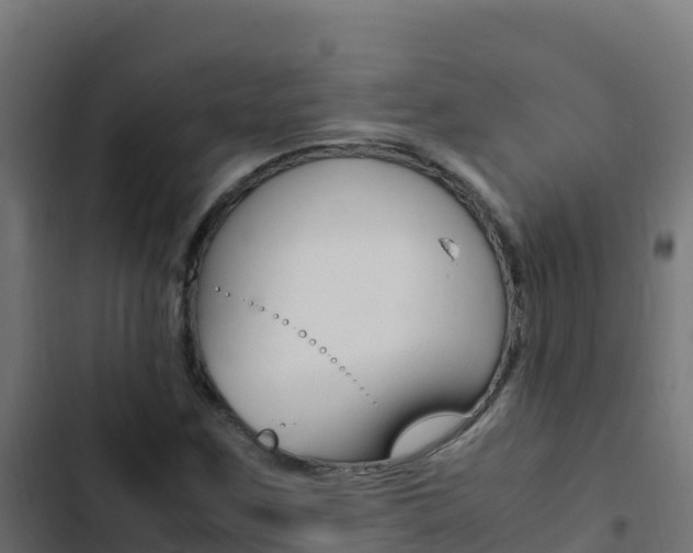 X0000103451259200809121117