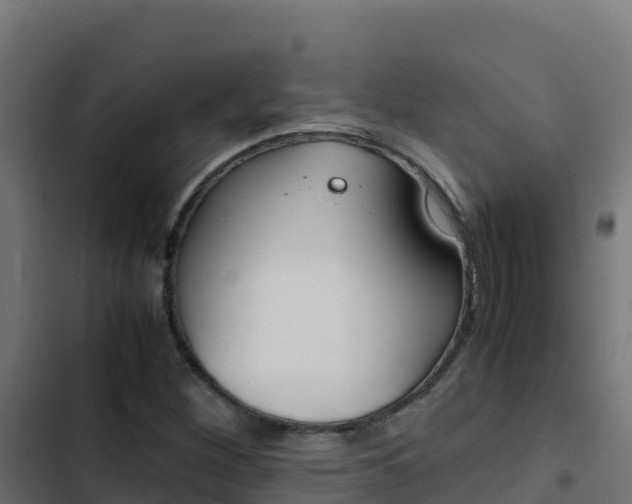 X0000103451260200809121117