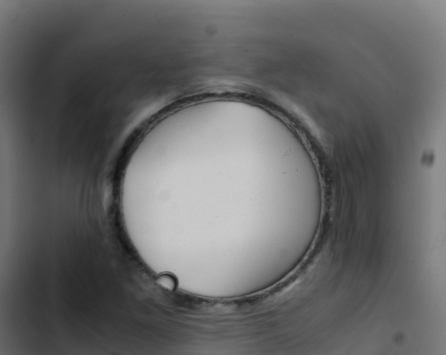 X0000103451261200809121117