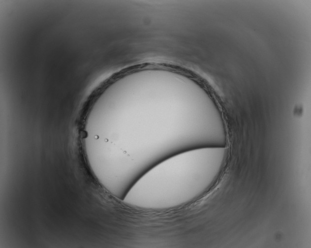 X0000103451263200809121117