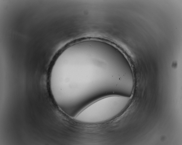 X0000103451264200809121117