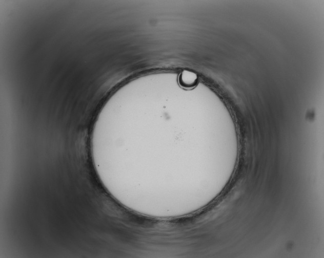 X0000103451265200809121117