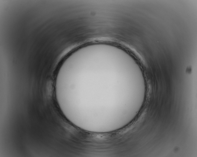 X0000103451266200809121117