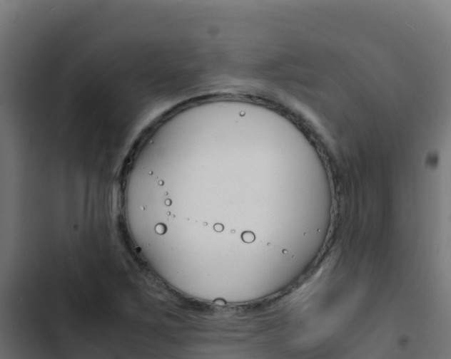 X0000103451267200809121117