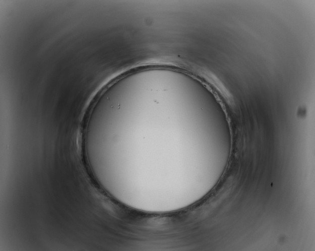 X0000103451268200809121117