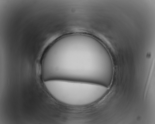 X0000103451269200809121117