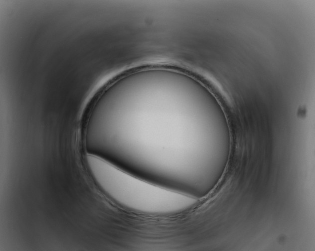 X0000103451270200809121117