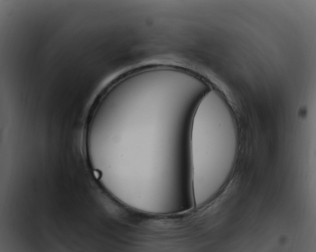 X0000103451272200809121117