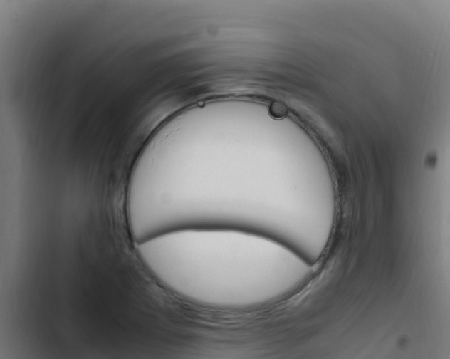 X0000103451273200809121117