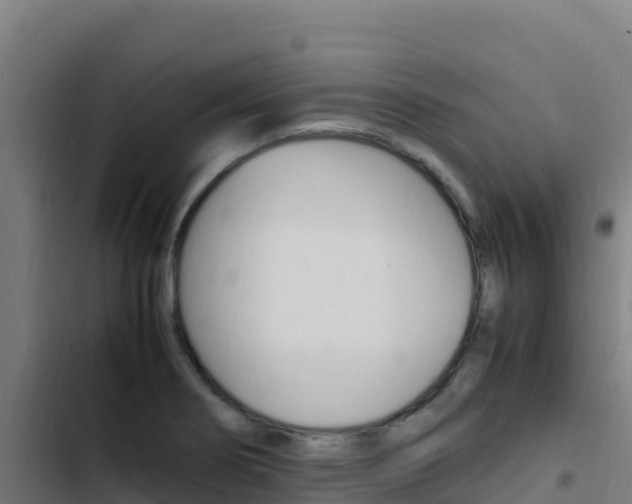 X0000103451274200809121117